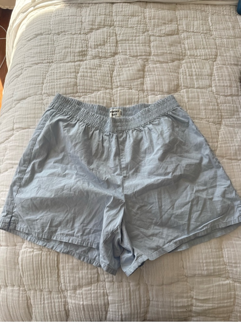 Aritzia Light Blue Elastic Waist Athletic Shorts